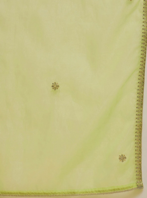 Elegant Pastel Green Embroidered Kurta Pant Set with Dupatta